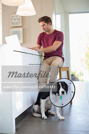 Man using laptop by dog wearing cone