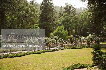 Company Bagh in Mussoorie, Uttarakhand, India