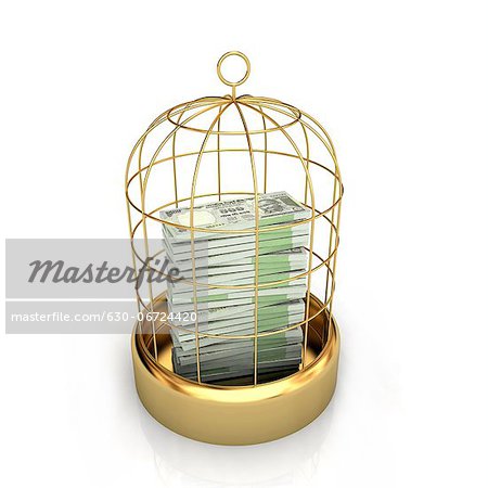 Close-up of money in birdcage