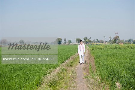 Farmer walking in the field, Sonipat, Haryana, India