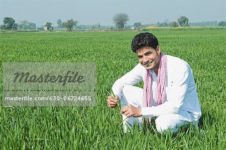 Farmer crouching in the field, Sonipat, Haryana, India