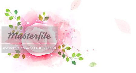 Illustration of abstract pink rose