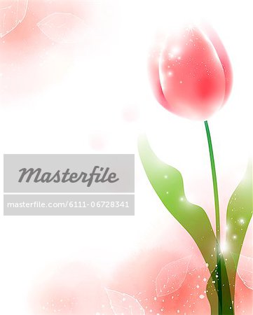 Illustration of beautiful abstract pink rose