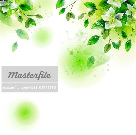 Illustration of beautiful flowers and leaf against white background