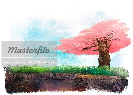 Tree On Green Landscape Tree On Green Landscape