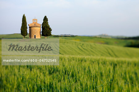 Chapel of Vitaleta with Cypress Trees in green field, Val d´Orcia, Siena Province, Tuscany, Italy.