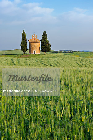 Chapel of Vitaleta with Cypress Trees in green field, Val d´Orcia, Siena Province, Tuscany, Italy.