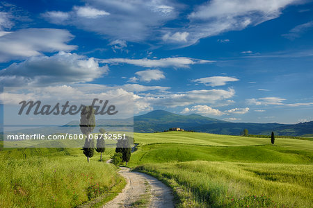 Cypress trees along country road, through green fields. Pienza, Val d´Orcia, Siena Province, Tuscany, Italy.