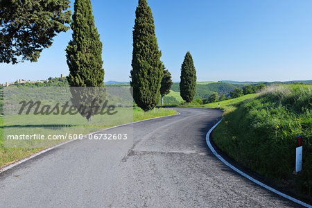 Rural Road lined with Cypress Trees (Cupressus sempervirens). Pienza, Siena district, Tuscany, Toscana, Italy.