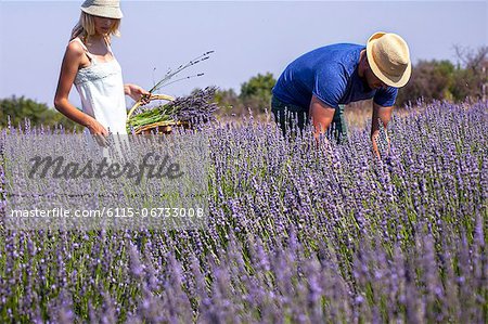 Young Couple In Lavender Field, Croatia, Dalmatia, Europe