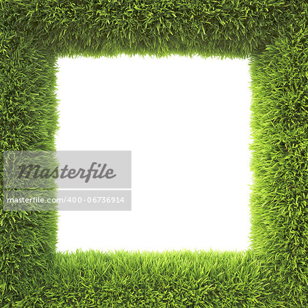 frame made of green grass