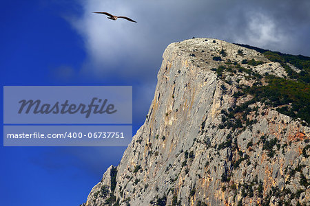 Summer rocks and seagull flying in blue sky. Mount Kush-Kaya. Crimean, Ukraine.