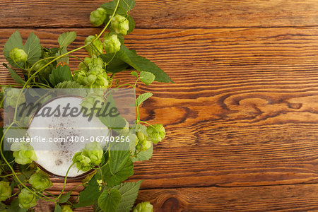 Image of a pint with a hop plant around it