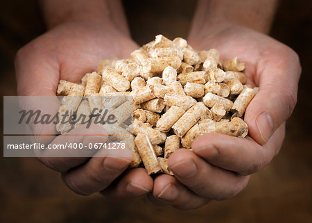 Alternative fuel: Pellets made from industrial wood waste. Short depth-of-field.