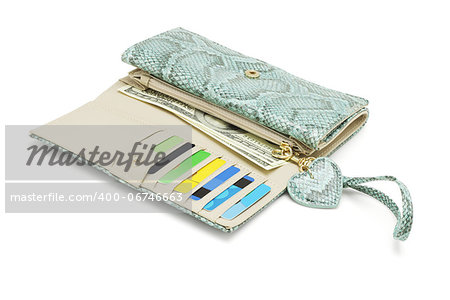 Wallet With Snake Skin Texture on White Background