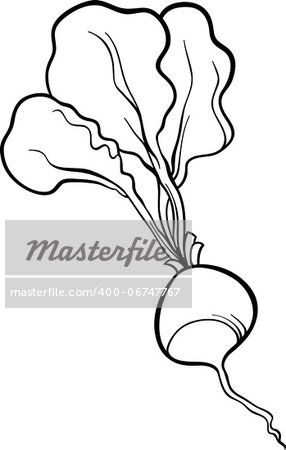 Black and White Cartoon Illustration of Radish Vegetable Food Object for Coloring Book