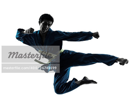one asian man exercising karate vietvodao martial arts in silhouette studio isolated on white background