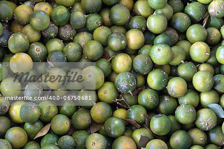 Calamansi Green Limes Closeup Background