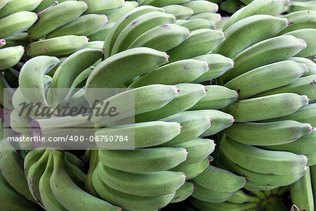 Bunches of Unriped Green Bananas on Stalk at Southeast Asian Wholesale Market Closeup