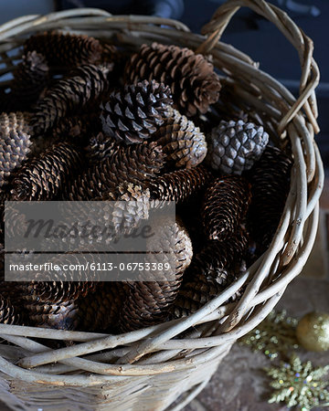 Close up of basket of pine cones