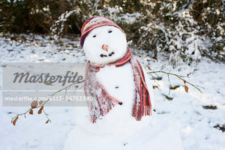 Snowman wearing scarf and hat