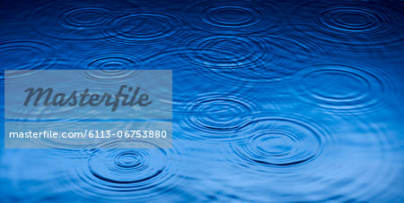 Ripples of raindrops in puddle Ripples of raindrops in puddle