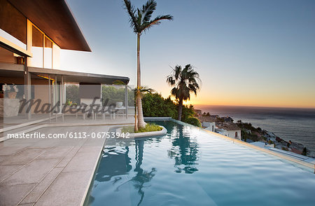 Palm tree in infinity pool