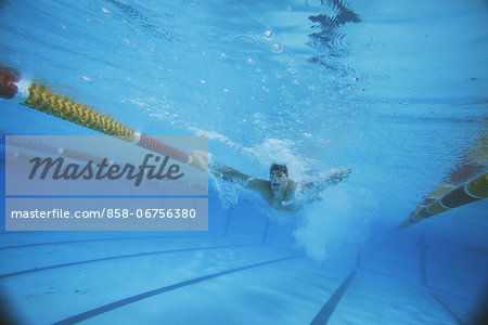 Male Swimmer Underwater In Pool