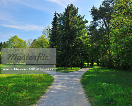 Forked Pathway with Meadow in Spring, Aschaffenburg, Bavaria, Germany Forked Pathway with Meadow in Spring, Aschaffenburg, Bavaria, Germany