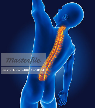 3D medical man with skeleton spine highlighted