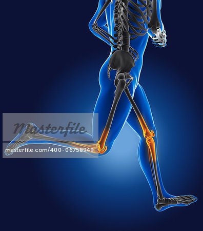 3D running medical man with skeleton knees highlighted