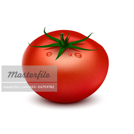 Wet tomato on white background
