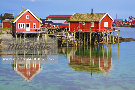 Traditional norwegian red rorbu huts with sod roof in town of Reine on Lofoten islands in Norway