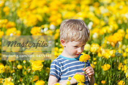 adorable caucasian boy smelling yellow flowers