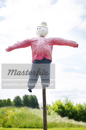 Traditional scarecrow in field