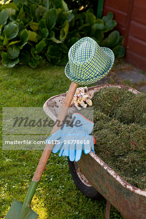 Mown grass in a wheelbarrow, Munich, Bavaria, Germany