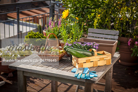 Fresh Vegetable and Fruits On Balcony, Munich, Bavaria, Germany, Europe