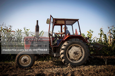 Farmer In Tractor Ploughing Field, Croatia, Slavonia, Europe