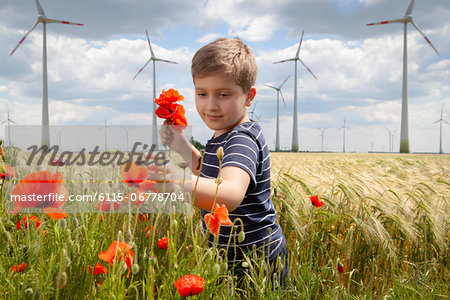 Boy On Field Plucking Poppy Flowers, Dessau, Germany, Europe