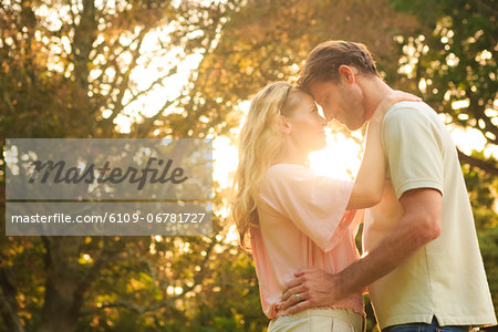 Attractive couple embracing in a park