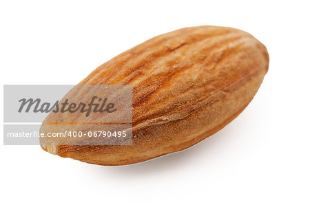 one almond closeup isolated on white background