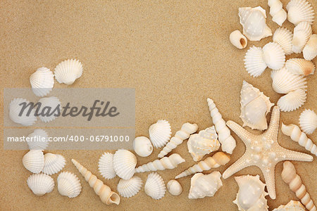 White sea shell selection with beach sand background