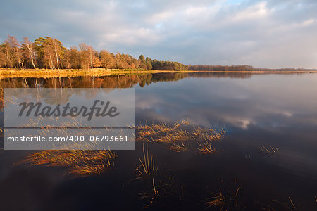 calm wild lake before the sunrise, Dwingelderveld