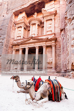 Two camels in front of Al Khazneh in Petra, Jordan