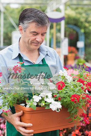 Gardener holding boxes of plants working in a garden center