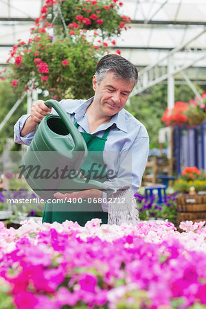 Smiling man watering flowers in garden centre