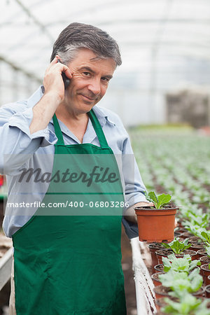 Assistant calling while holding a seedling in greenhouse