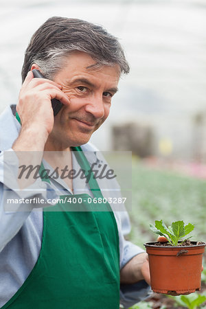 Man calling and holding a seedling working in a greenhouse