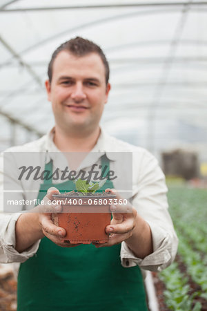 Cheerful gardener holding a plant in greenhouse