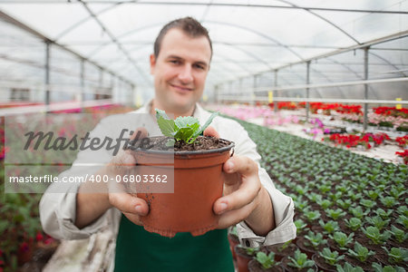 Man holding a potted plant up and smiling in greenhouse